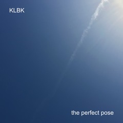 the perfect pose