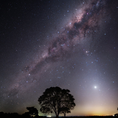 Let It Make You prod. by Oohm The Goat