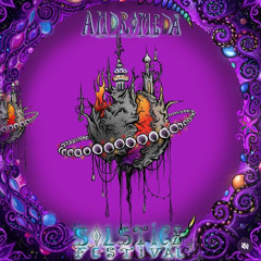 Meerkat LIVE- Andromeda Stage-Solitice Festival 2024