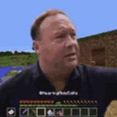 Thought It Was Minecraft