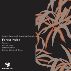 Ignacio Ravagnan, Interactive Sounds - Forest Inside (Original Mix)