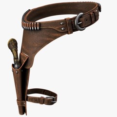 HOLSTER