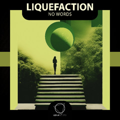 Liquefaction - Future (Lizplay Records)