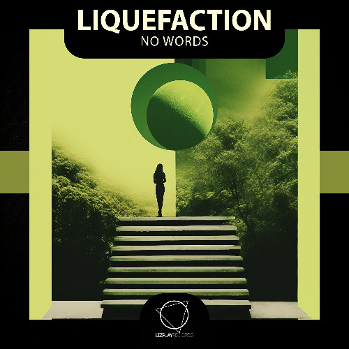 Liquefaction - Future (Lizplay Records)