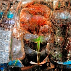 ELAZY - GLITCH TEXT [BENSKA SINGLES CLUB]