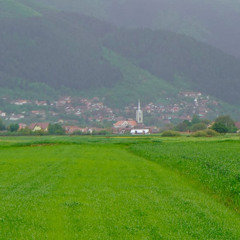 Un semnal de alarmă: reduceți birocrația, finanțați programul LEADER (Rural)