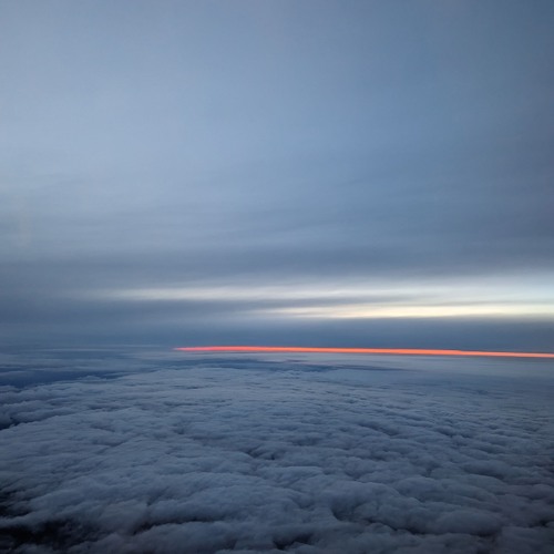 An incandescent shard of the sky, swallowed for safekeeping