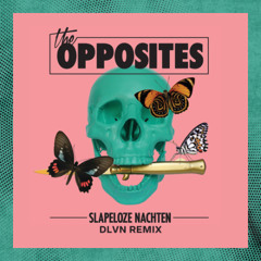 The Opposites - Slapeloze Nachten (DLVN Remix)