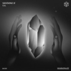313 (Original Mix)