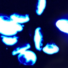 V8COLA - Aquatic Dub (Key Archive Remix)