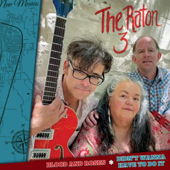 Didn’t Wanna Have To Do It - Instrumental