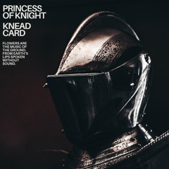 Knead Card • Princess Of Knight