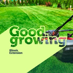 Gardenbite - Selecting a lawn care service | #GoodGrowing