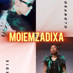 MOIEMZADIXA - Tran La Luot x Pham Co ( VicT mix)