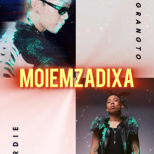 MOIEMZADIXA - Tran La Luot x Pham Co ( VicT mix)