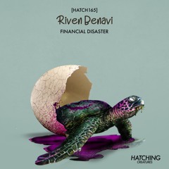Riven Benavi - Financial Disaster (Original Mix)