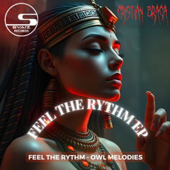 Cristian Braga - Owl melodies (Original Mix)