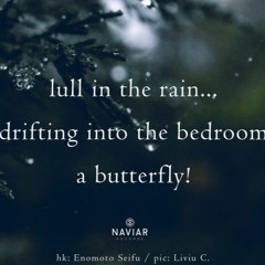 Bedroom Butterfly.flac (NaviarHaiku Challenge 501)