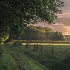 Come Down On Me - 12Rods