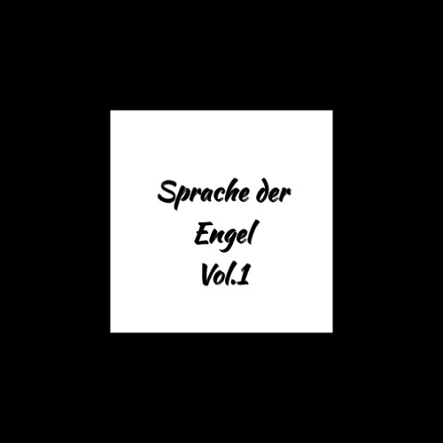 Moritz_H feat. Verrückt und Glücklich | Sprache der Engel Vol.1 | Classic House/Nu Disco) (Setcut)