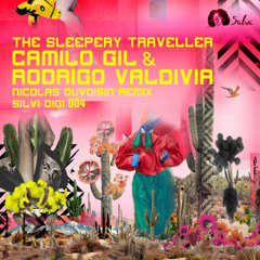 premiere: Camilo Gil & Rodrigo Valdivia - Spacial Dub [SILVIDIGI 004]