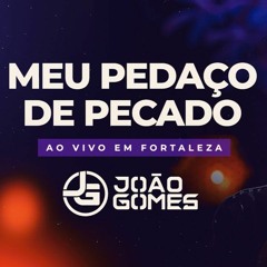 MEU PEDAÇO DE PECADO - João Gomes - Tô Querendo te beijar