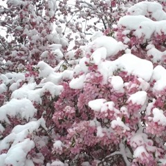 e̵̡̧̧̧̡̡͉͖̱͍͍̱͇͚̟̮͖̽͛͑̓̓ͅe̵̡̧̧̧̡̡͉͖̱͍͍̱͇͚̟̮͖̽͛͑̓̓ͅe̵̡̧̧̧̡̡͉͖̱͍͍̱͇͚̟̮͖̽͛͑̓̓ͅe̵̡̧̧̧̡̡͉͖̱͍͍̱͇͚̟̮͖̽͛͑̓̓ͅe̵̡̧̧̧̡̡͉͖̱͍͍̱͇͚̟̮͖̽͛͑̓̓ͅe̵̡̧̧̧̡̡͉͖̱͍͍̱͇͚̟̮͖̽͛͑̓̓ͅe̵̡̧̧̧̡̡͉͖̱͍͍̱͇͚̟̮͖̽͛͑̓̓ͅe̵̡̧̧̧̡̡͉͖̱͍͍̱͇͚̟̮͖̽͛͑̓̓ͅe̵̡̧̧̧̡̡͉͖̱͍͍̱͇͚̟̮͖̽͛͑̓̓ͅe̵̡̧̧̧̡̡͉͖̱͍͍̱͇͚̟̮͖̽͛͑̓̓ͅe̵̽͛͑