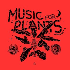 Paula Tape - Music For Plants #01 (live) Radio Raheem