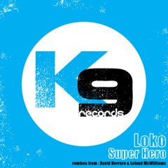Super Hero (David Herrero Remix)