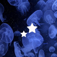 🫧 ☂︎☁︎ aquarium day ( 〃．．)