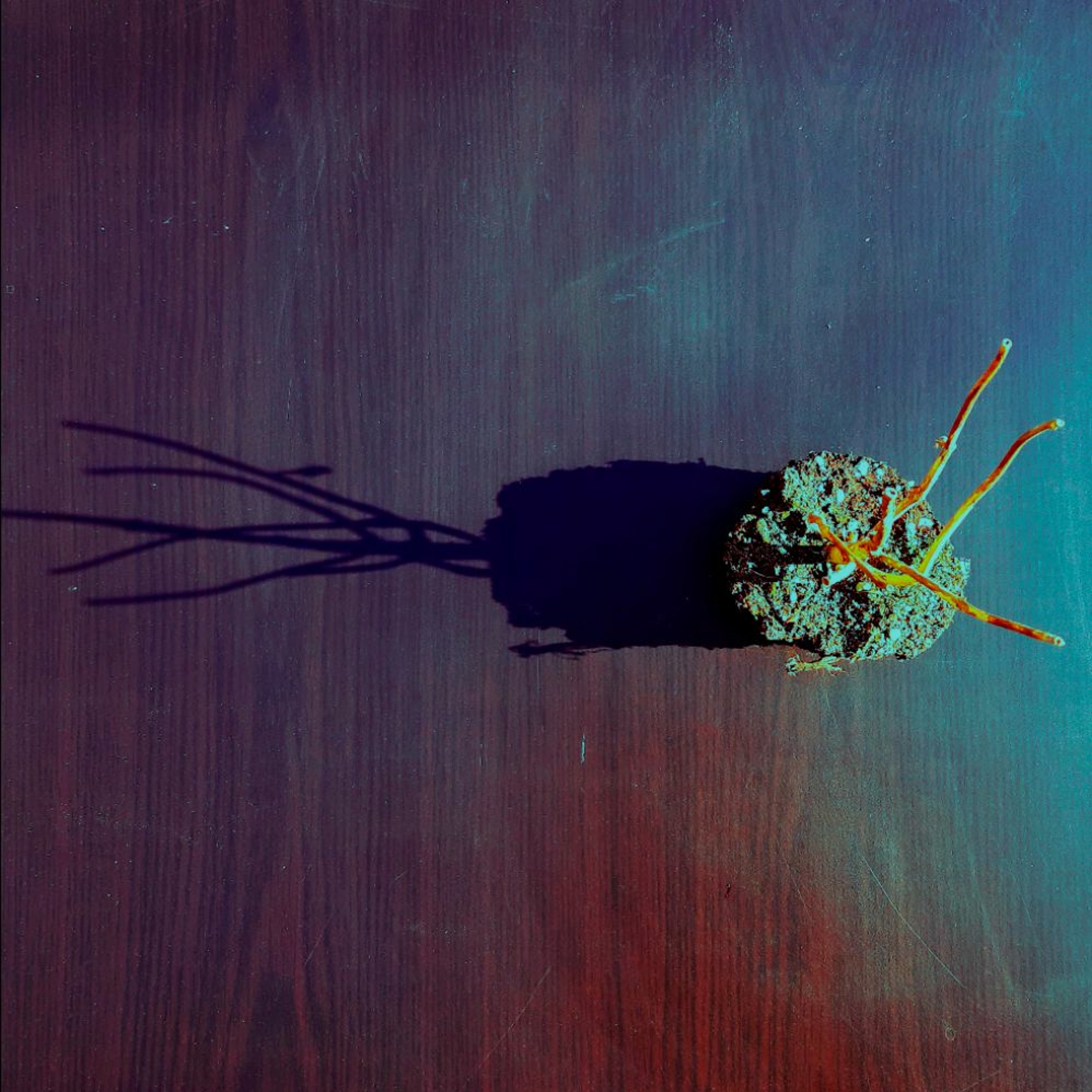 Fir Cone Children - Another You episode artwork