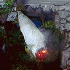 NO PARO DE TOSER lamatera777