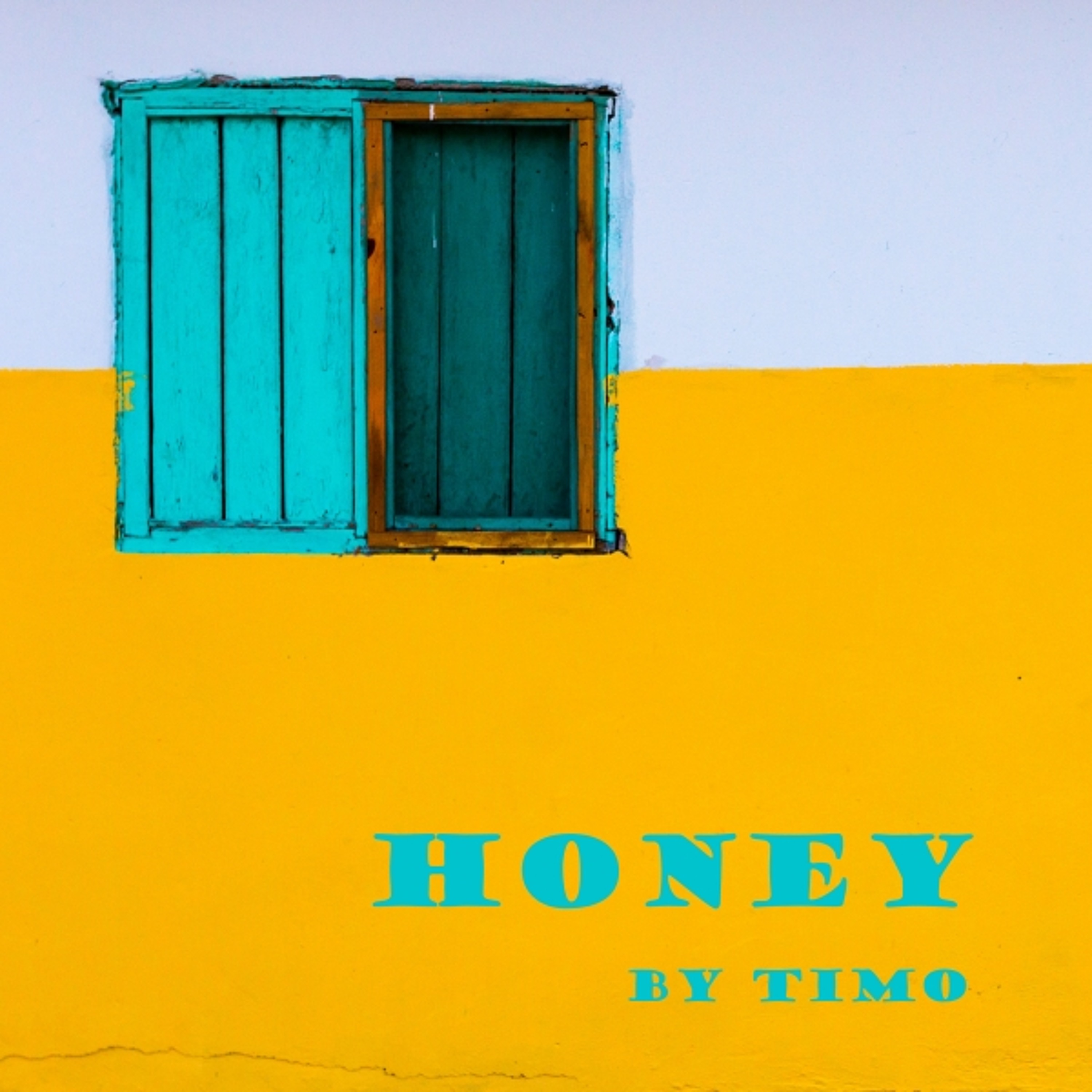 Timo from Kyiv