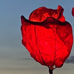 Download The Silence - GRUMPY ON MASTERING