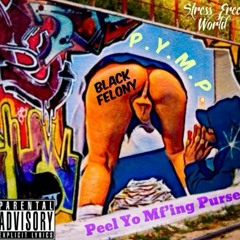 Black Felony “Rider”