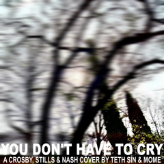 You Don't Have To Cry (Crosby, Stills & Nash cover) | Feat. Mome