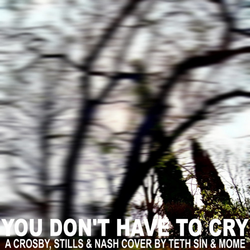 You Don't Have To Cry (Crosby, Stills & Nash cover) | Feat. Mome