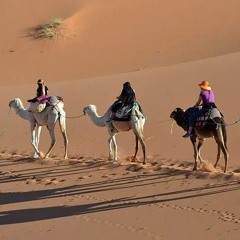 The Arab Orange Lodge.wav