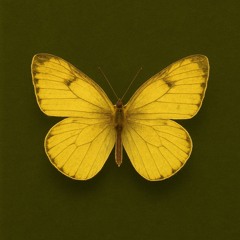 GOODMAN BROKENHEARTED (PROD. LOVIBE)