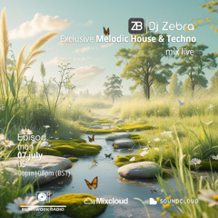 Exclusive Melodic House & Techno Mix Live by DJ Zebra for Beatsworkradio 07/07/2025