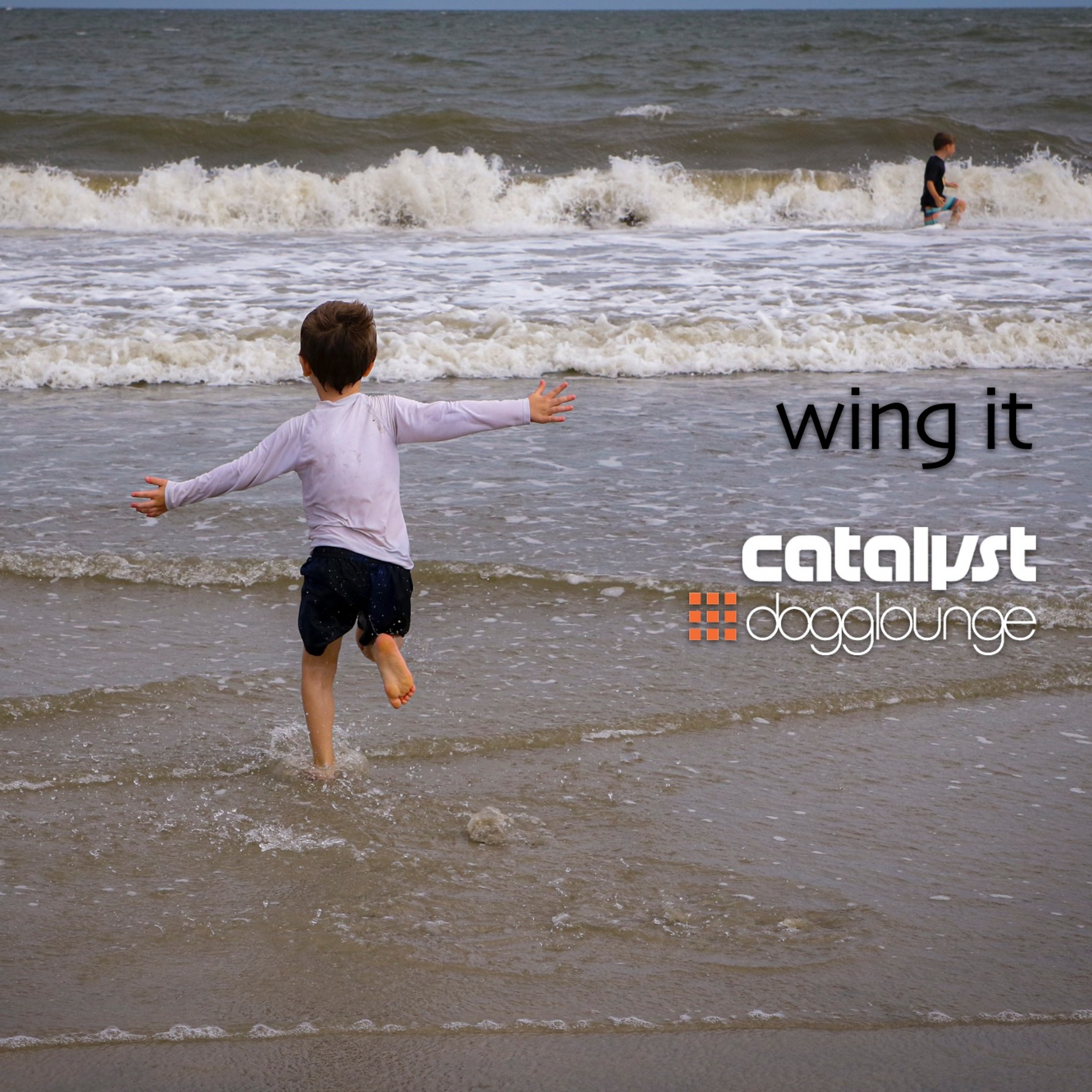 cover of episode DL144 - wing it