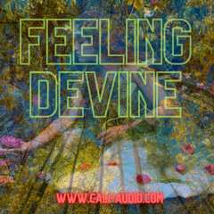 Feeling Devine