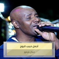 أجمل حبيب للروح