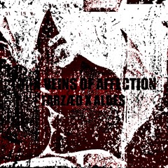 ALDES X FARZÆD - TORN VEINS OF AFFECTION