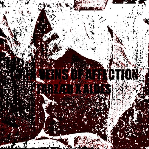 ALDES X FARZÆD - TORN VEINS OF AFFECTION