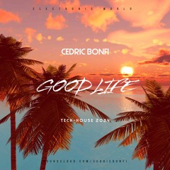 Good Life (Original Mix)