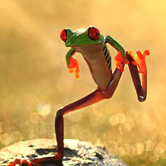Froggy dance at My stuff