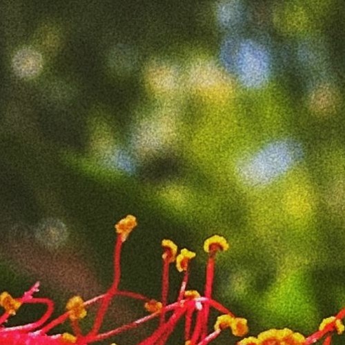 Element