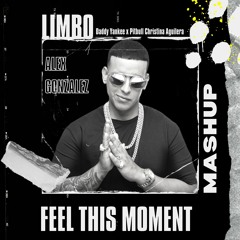 Limbo X Feels This Moment (Alex Gonzalez Mashup)| FREE | LEER DESCRIPCION