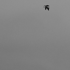 Improvisation_140325_AufWiedersehen